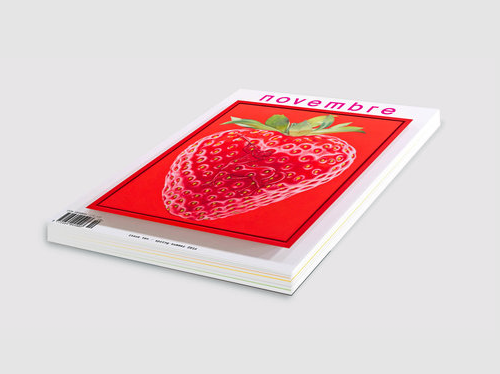 Novembre N°10 cover